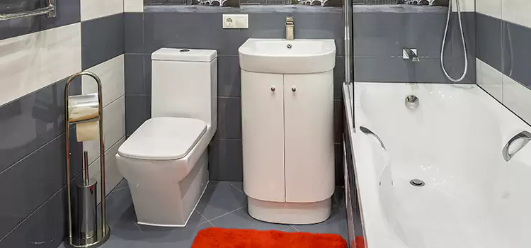 Hansgrohe Shaving Mirror Burnsville